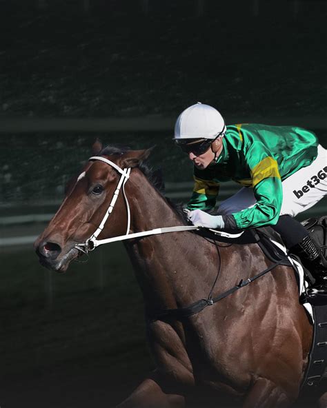 bet365 in play|Horse Racing Betting & Latest Horse Racing Odds.